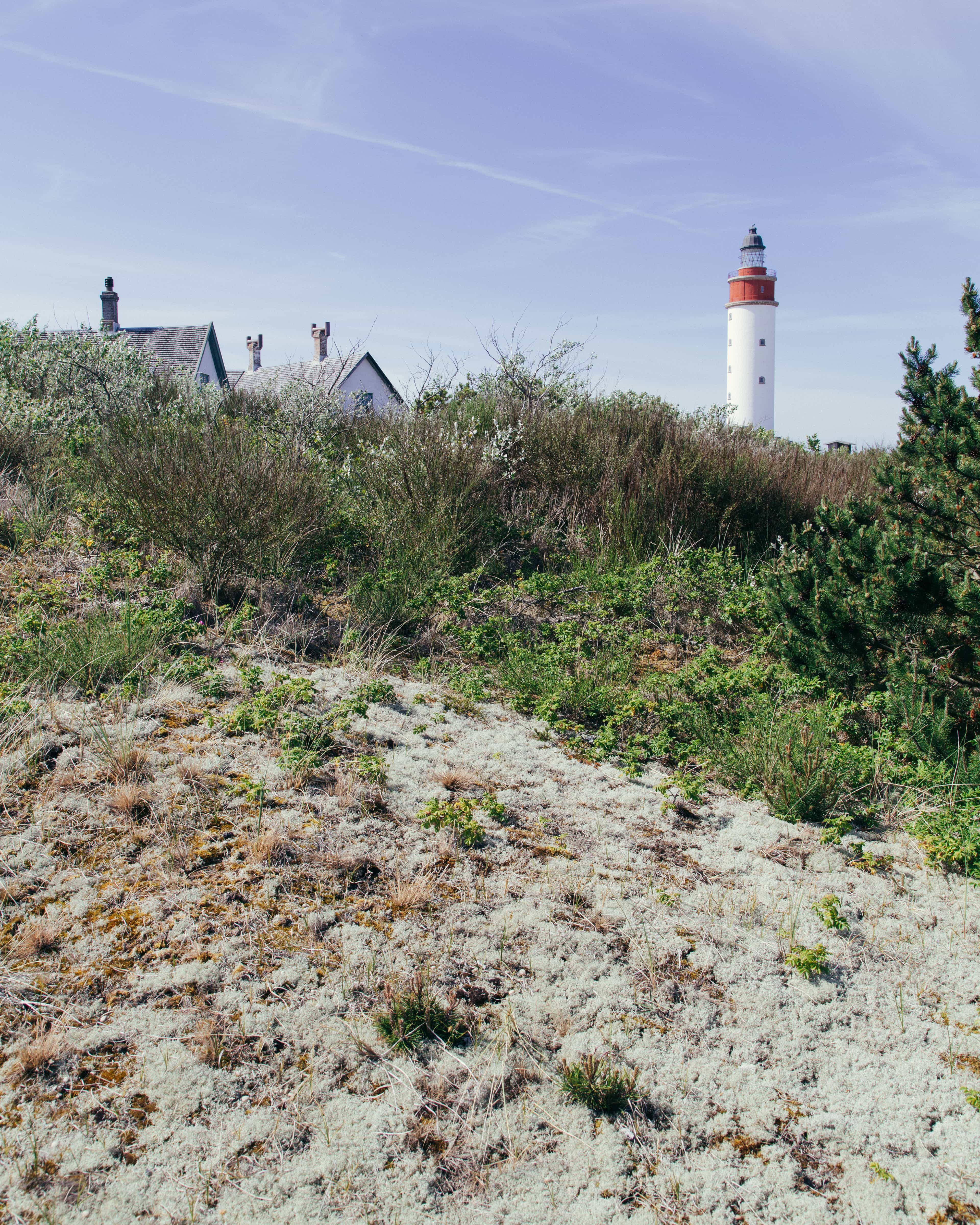 Three men in front of Fyrgaarden.